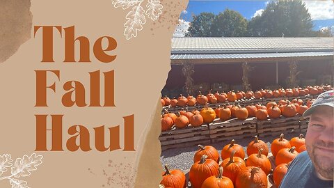 Fall Pumpkin Shopping at The Big Red Apple Shed in Bristol TN