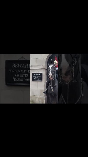 The kings guard shouts at man in full face balaclava #thekingsguard