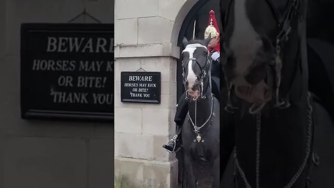 The kings guard shouts at man in full face balaclava #thekingsguard