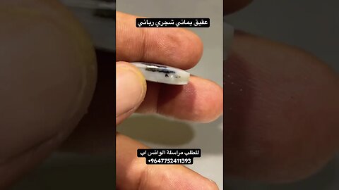 عقيق يماني شجري