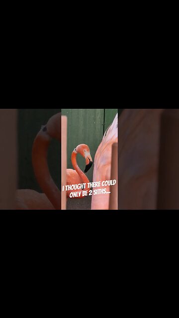 It Supposed To Be 2 No More No Less.