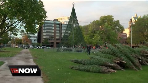 Timber arrives at Cathedral Square Park for Annual Holiday Festival preparations