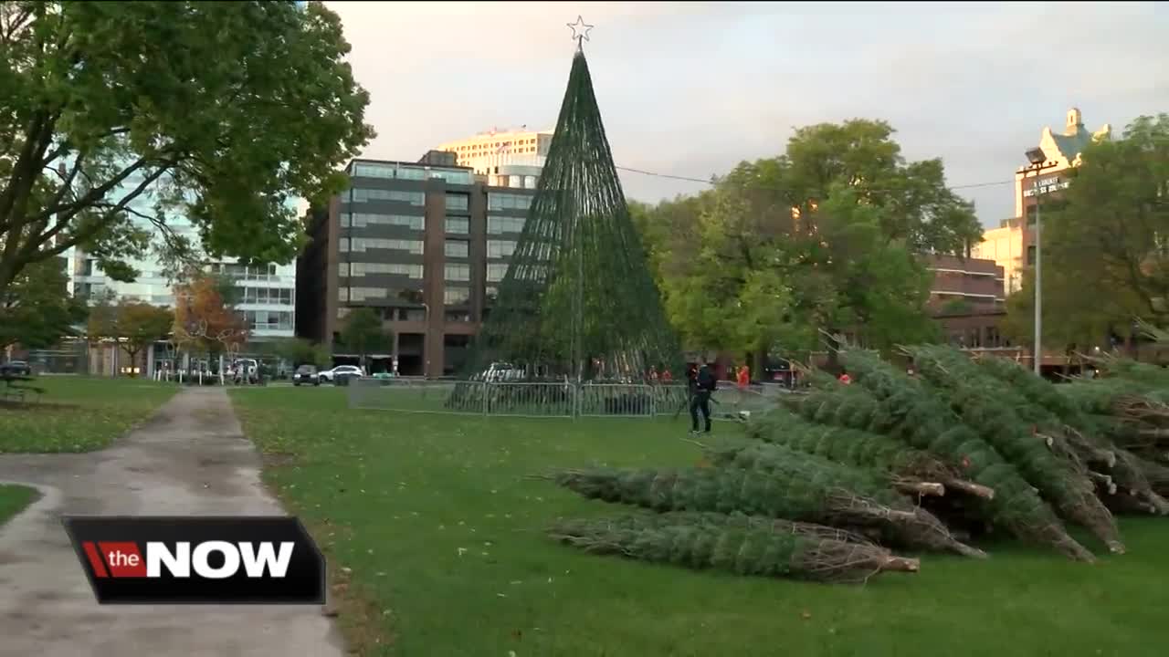 Timber arrives at Cathedral Square Park for Annual Holiday Festival preparations