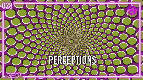 028 – Perceptions