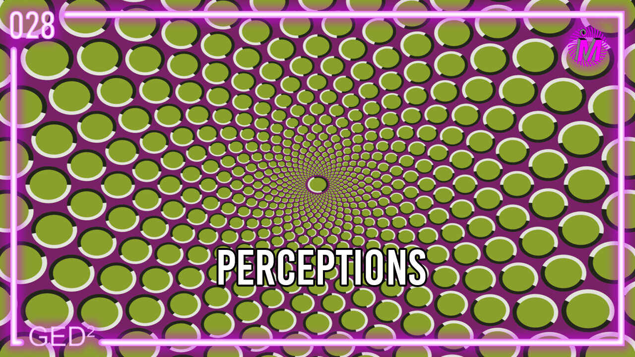 028 – Perceptions