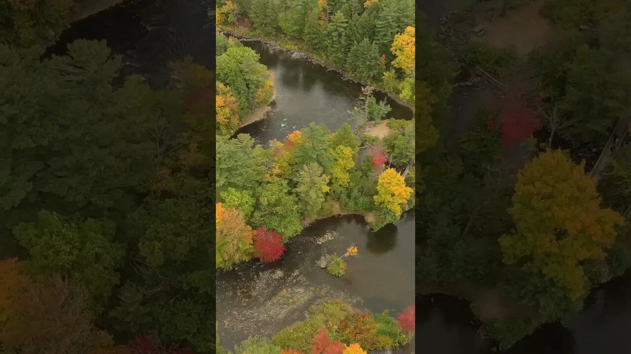 Canada Tranquil Nature #shorts #soothing #nature #relaxing