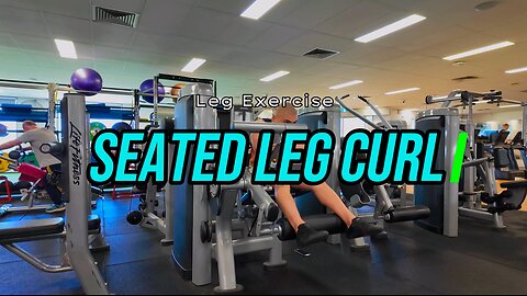 Seated Leg Curl | LEG Exercise