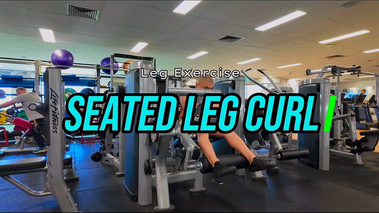 Seated Leg Curl | LEG Exercise