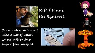 24 11 04 RIP Peanut the Squirrel