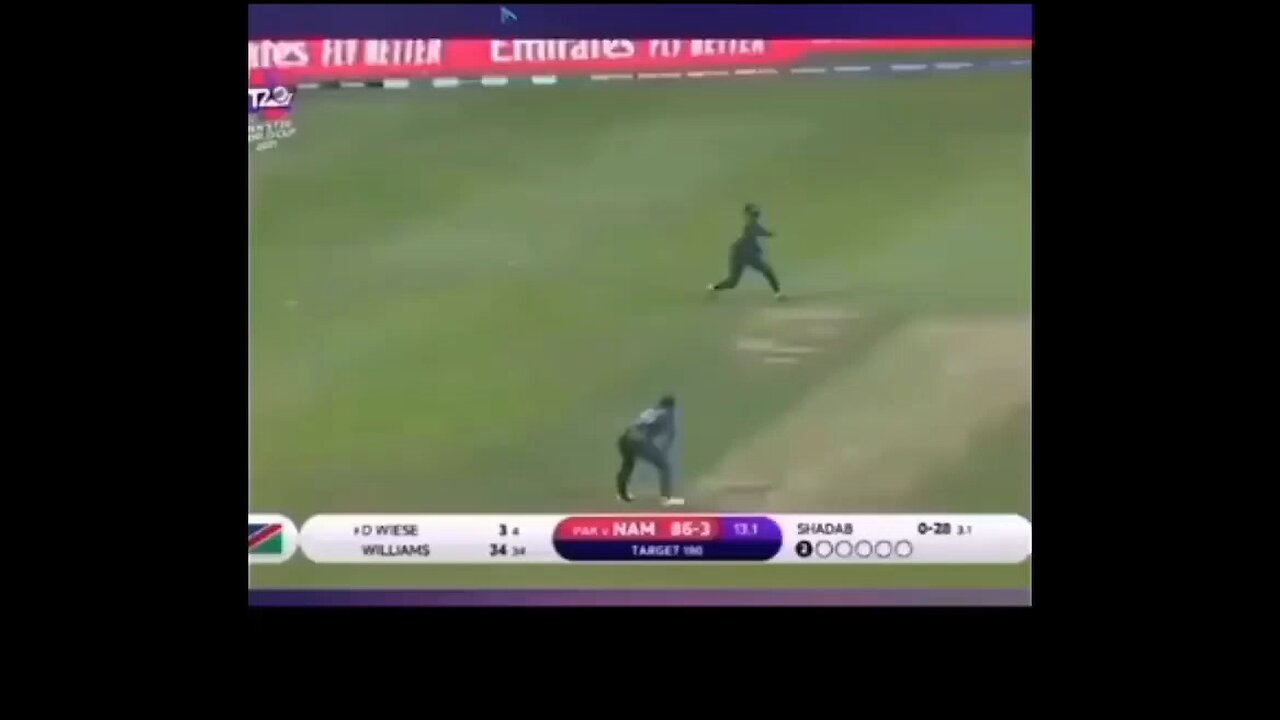 Funny Cricket Clips