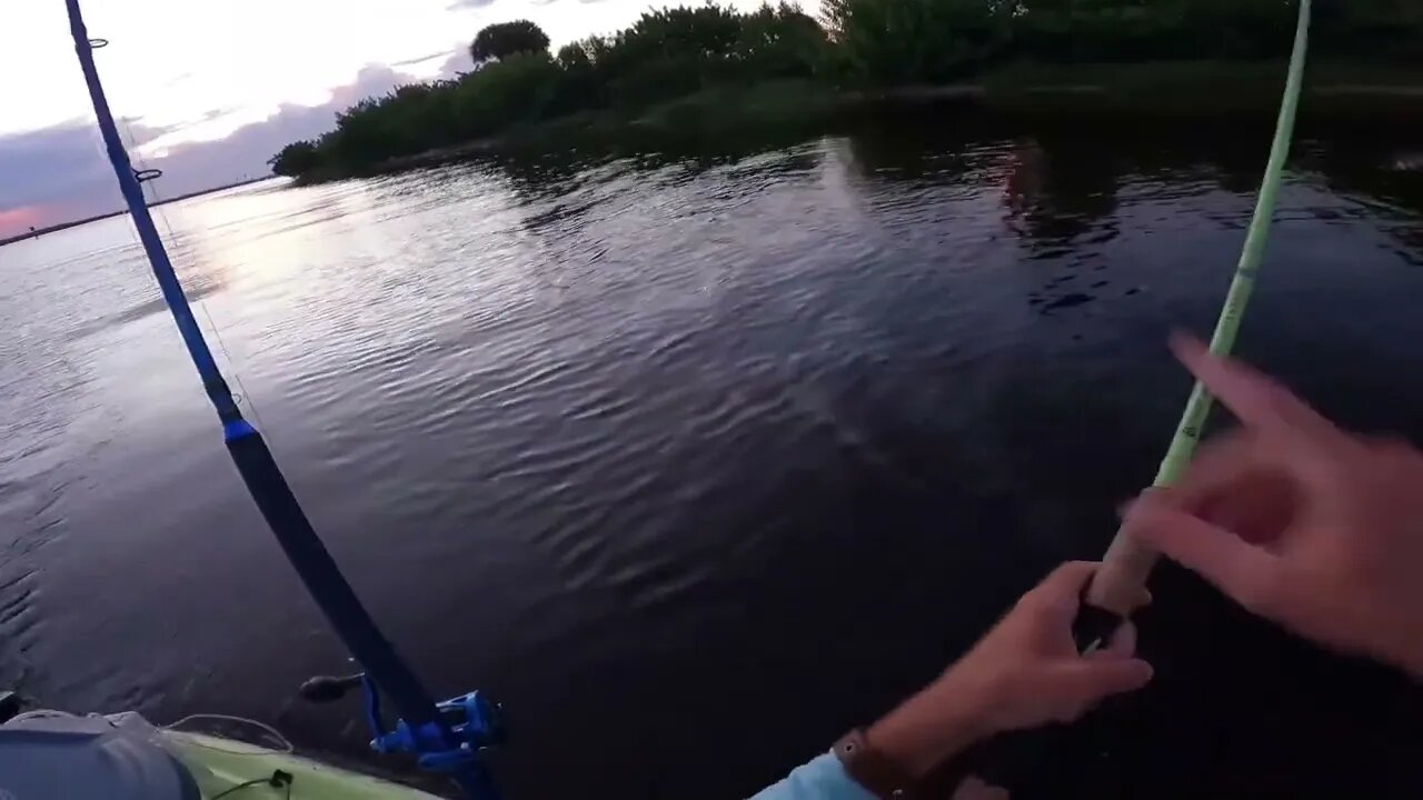 First Light Monster Fish Topwater Bite! Biggest I've Caught!!-5