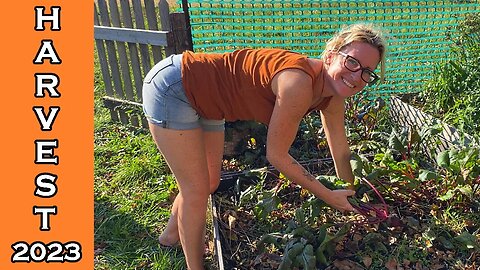 October Gardening is Beautiful