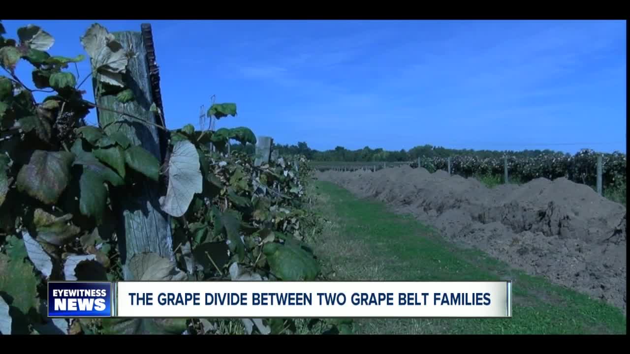 The grape divide between two 'Grape Belt' families