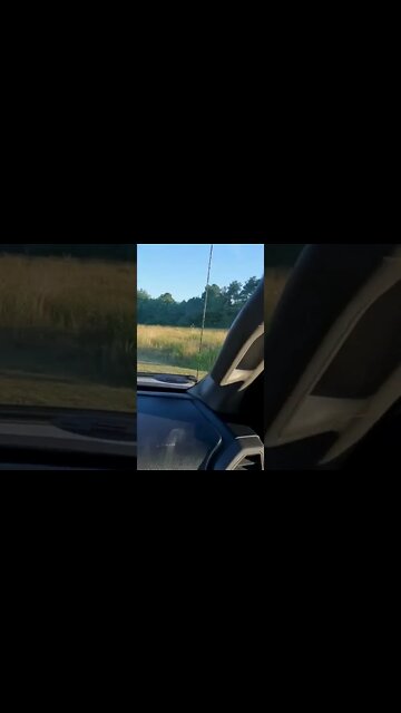 Turn Left #shorts | BONNETTE SON