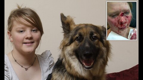 German Shepherd Attacks Pit-bull to save her Owner