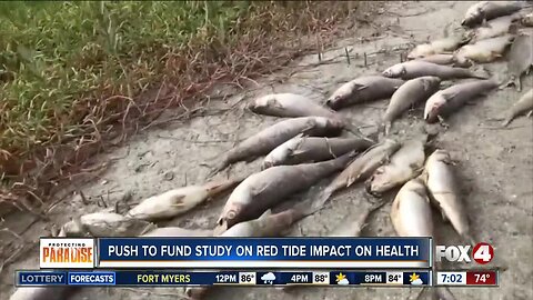 Health experts, researchers to study the long-term health impact of red tide on people