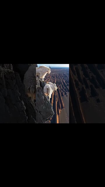 Woow Beautiful World ❤️ #shorts