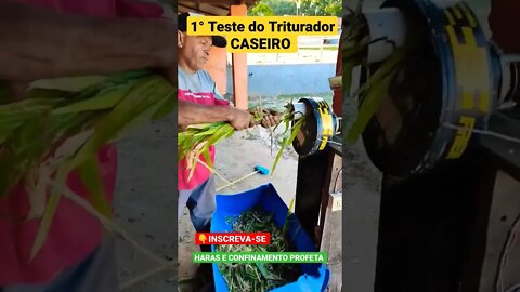 Triturador caseiro Primeiro Teste #shorts #day #agro #pecuaria #animals #caseiro #cortador