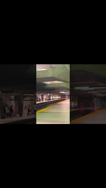 Colossal Peel metro #viralvideo #montreal #travel #publictransport #traintravel #station