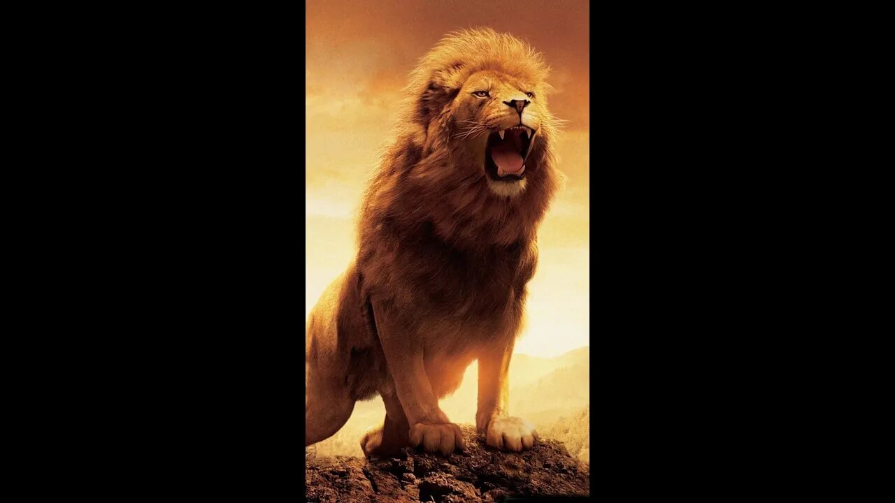 Godsinger: Through the Bible, John 8