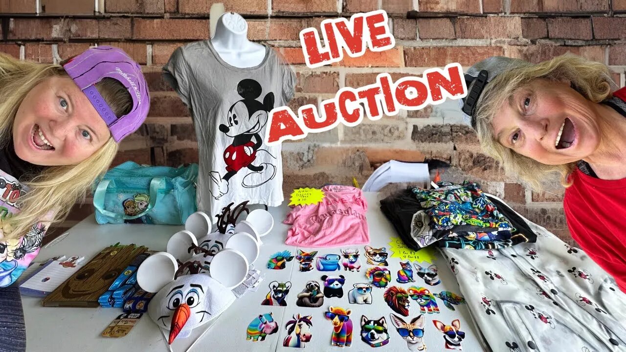 Live Auction - Lots Of Disney Collectibles & TY Beanies!