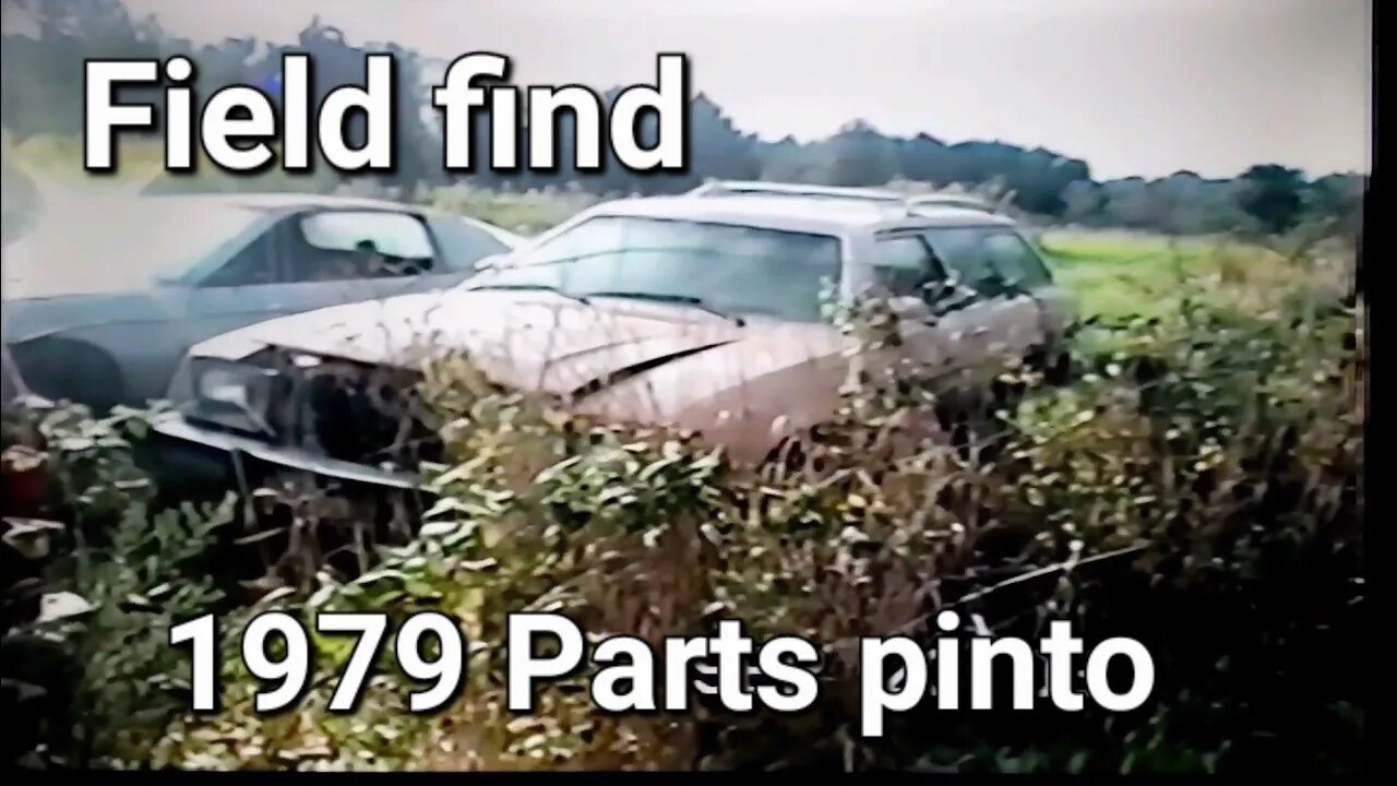 Digging out a 79 Pinto wagon for parts (Sep 2003)