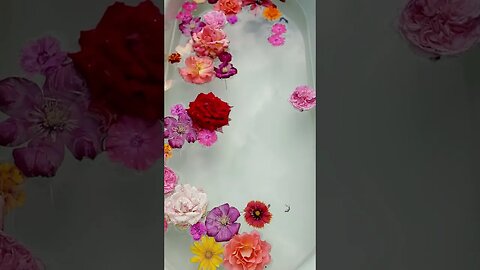 Happy Valentine's Day - Relaxing Music, Peaceful Instrumental Music #shorts