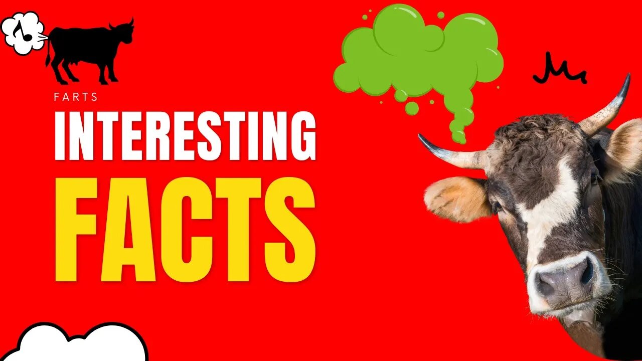 Fartastic Fun Facts: The Hilarious Truth About Flatulence