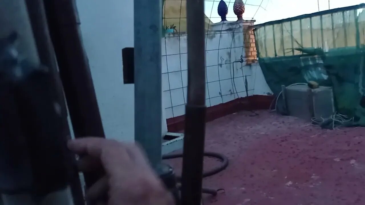 Me las piro vampiro me quedo tranquilo