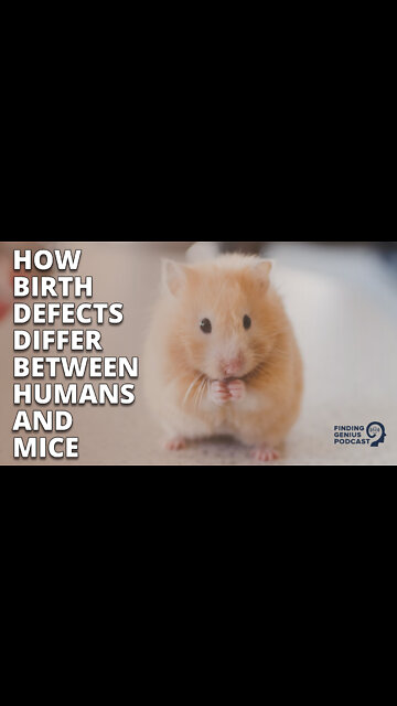 How Birth Defects Differ Between Humans and Mice #shorts