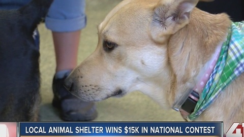 Wayside Waifs wins $15,000 in national contest