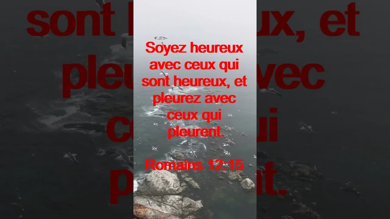 Verset Du Jour | Lecture Inspirante Pour Commencer La Journée. | 64