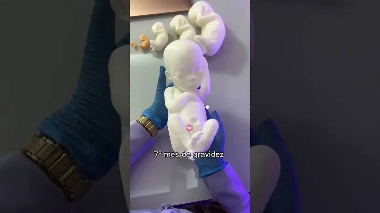 Gravidez Mês a Mês - Boa Gravidez