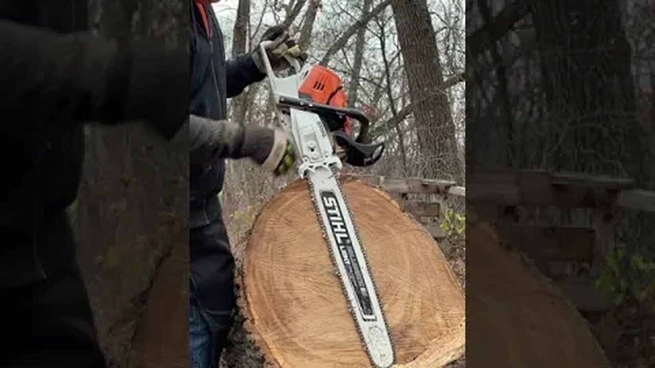 Bar Deep In A Big Log #shorts #fyp #chainsaw