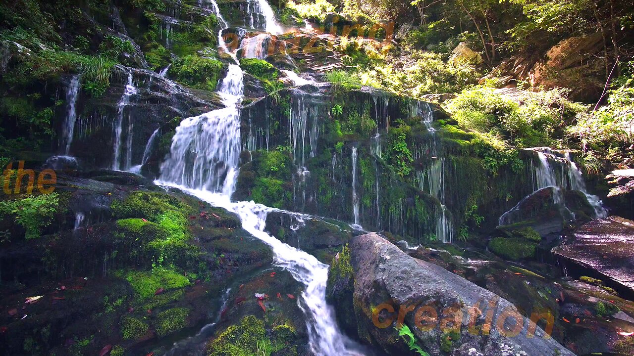 ASMR🧚‍♀️Relax🧚‍♂️Study✍Meditate🙏Nature Sounds🍃Water Stream🦋Birdsounds🐦