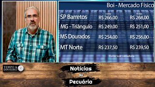 Boi gordo derrete enquanto exportações batem recordes de receita e de volume