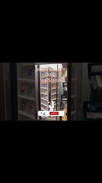 Celebrity Street Fighter DLC