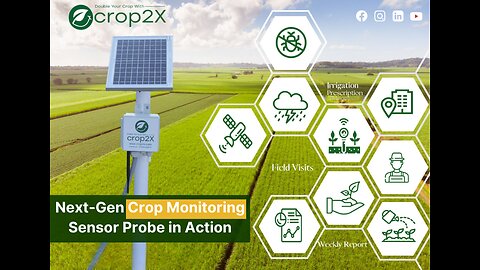 Next-Gen Crop Monitoring: Sensor Probe in Action