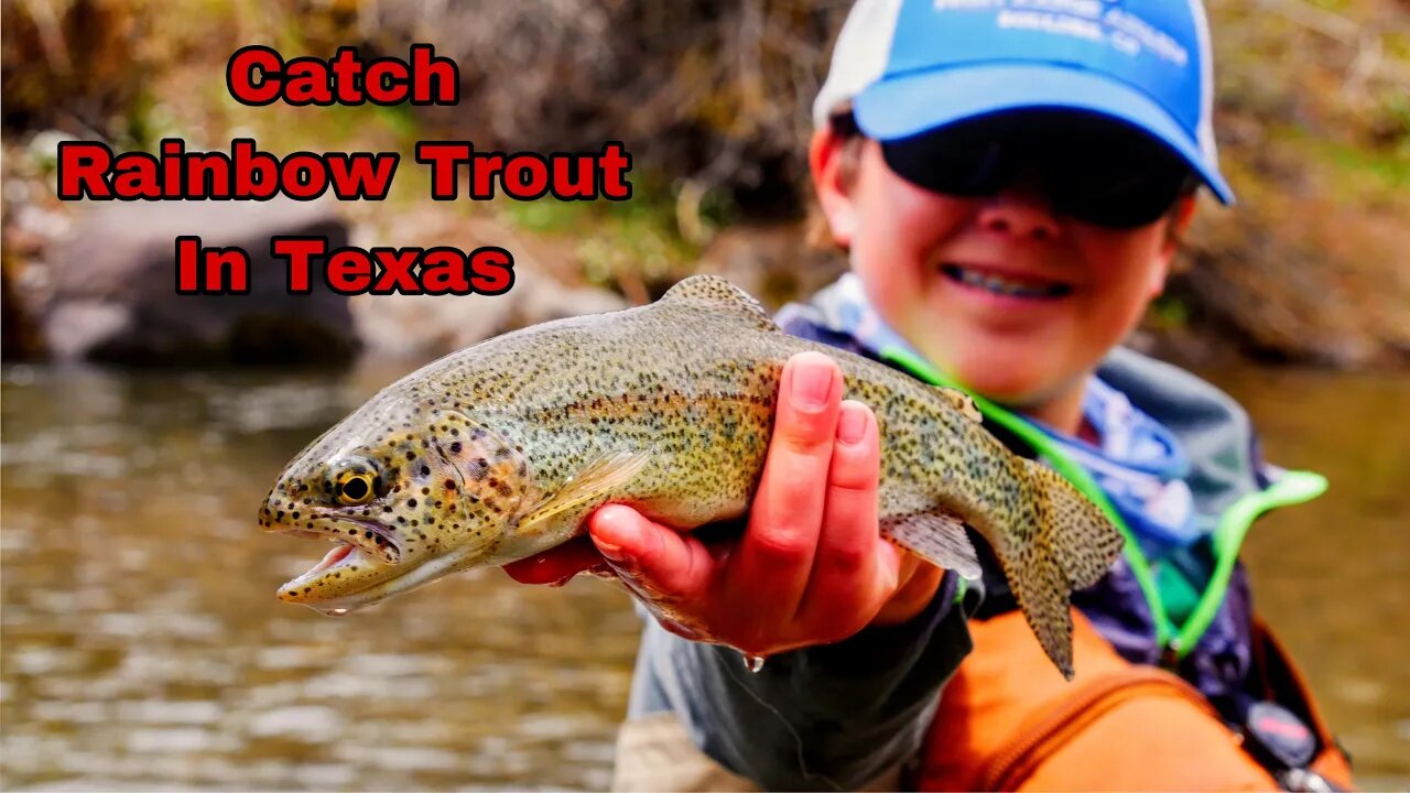 Catch Rainbow Trout in Texas in 2021-2022