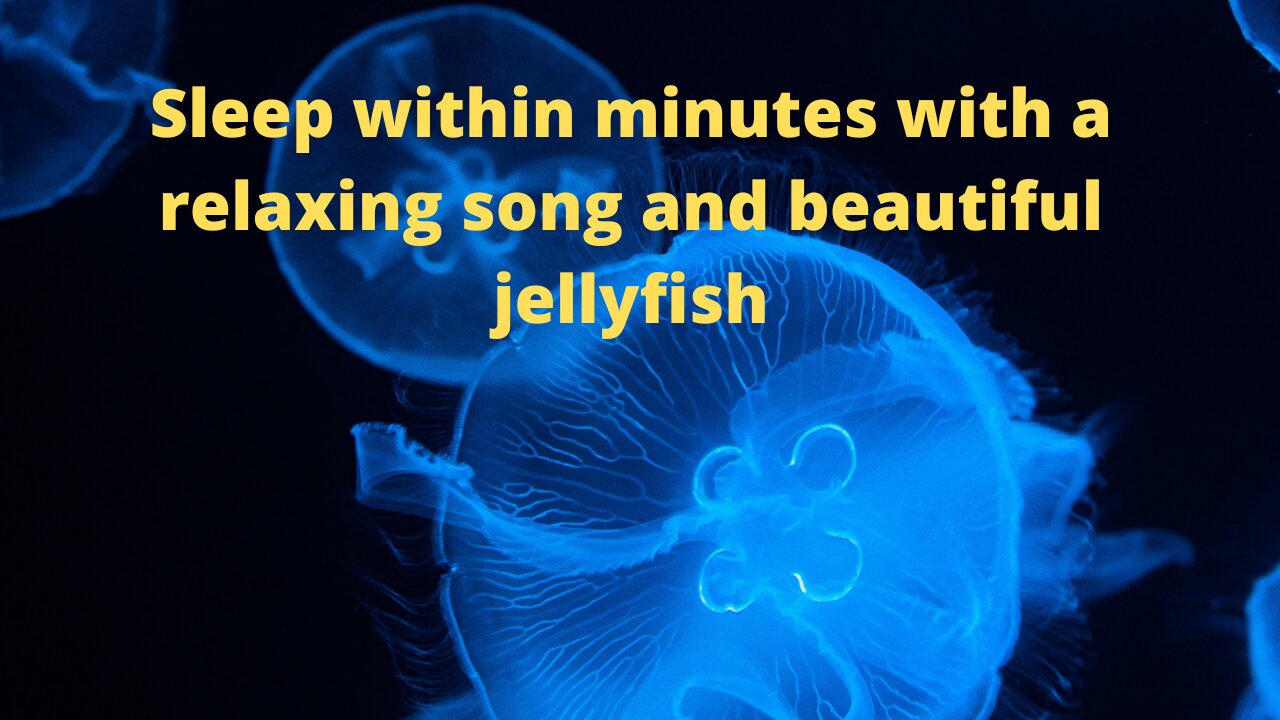 Sleep within minutes with a relaxing song and pictures of beautiful jellyfish