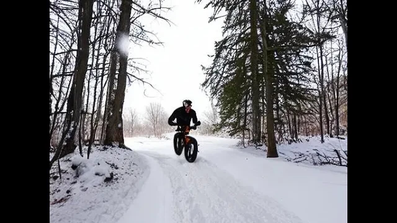 Days River Snow Rippin 83 ( Fatback Rhino )