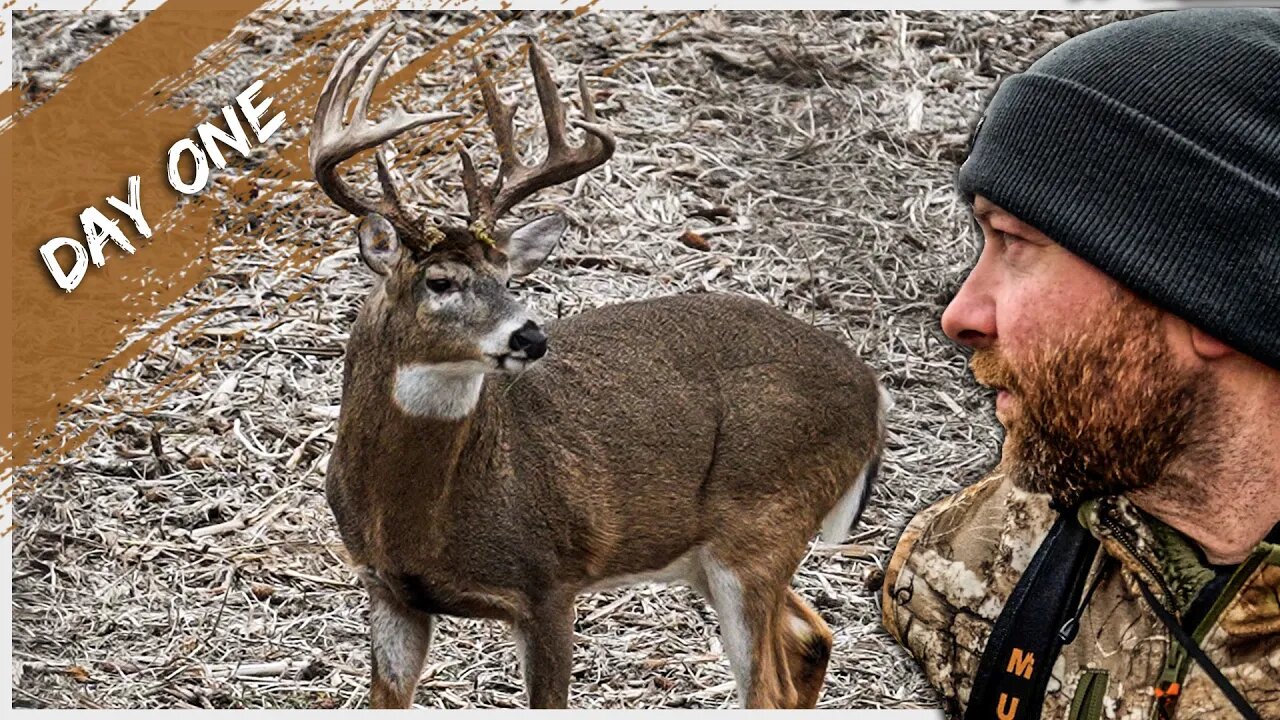 This Buck SHOCKED Me. Late Season Bowhunting | Day 1