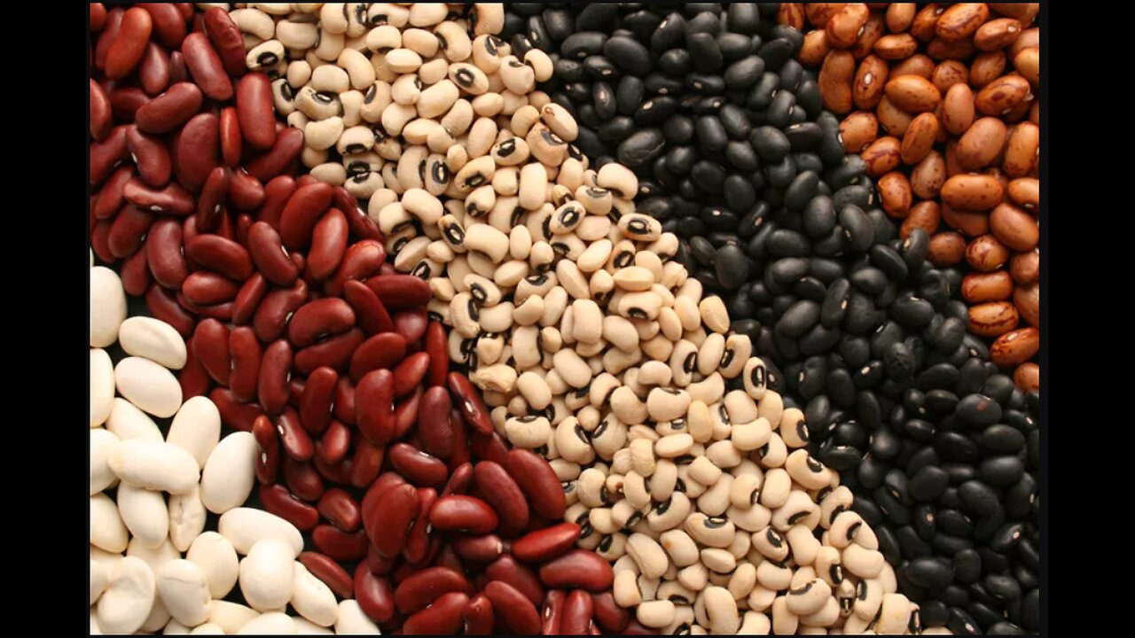 The Benefits of Eating Beans. Diabetic Diet Essentials