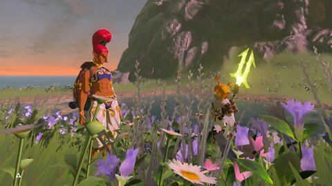 Breath of the Wild Master Mode 114