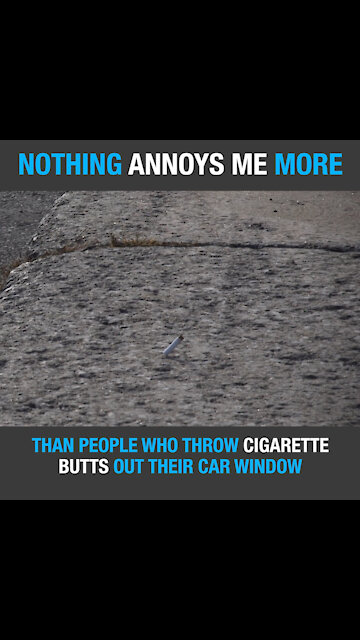 Cigarette butts car window [GMG Originals]