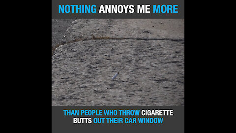 Cigarette butts car window [GMG Originals]