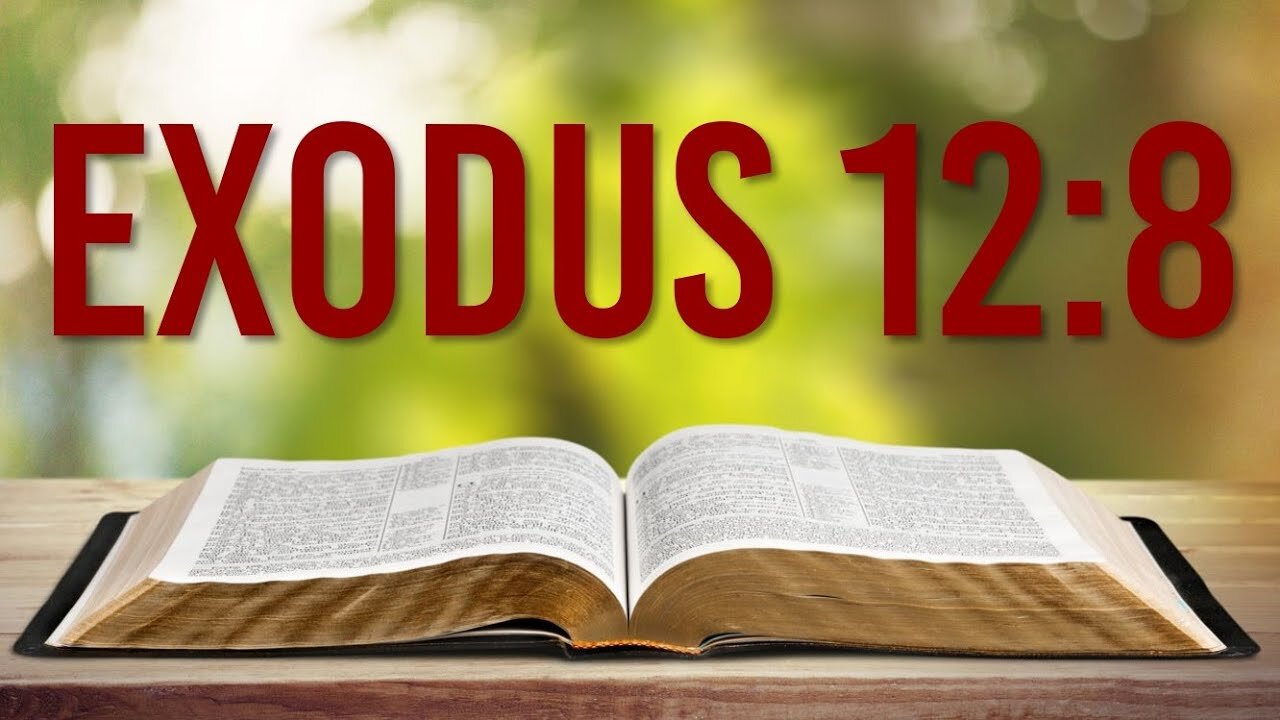 EXODUS 12: 8 - DON'T FORGET TO EAT THE BITTER HERBS