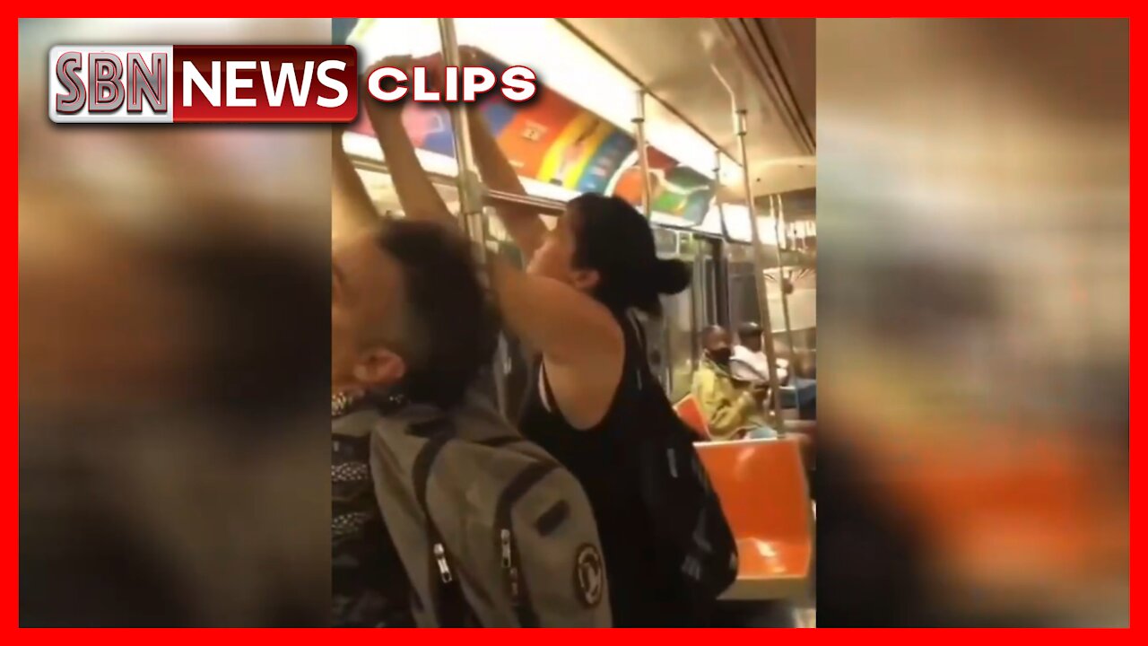 Passenger on a Subway Train Rips Off Propaganda Advertisements - 3998