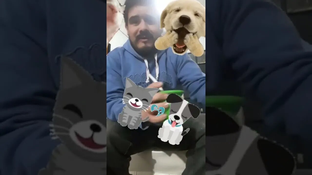MI VECINA TIENE UN GATO Principal tiktok Explorar Suscribite youtube comedia