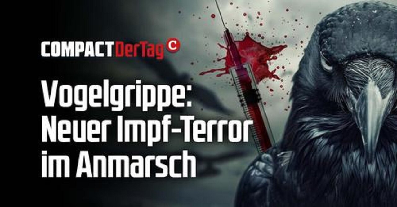 Vogelgrippe: Neuer Impf-Terror im Anmarsch!💥